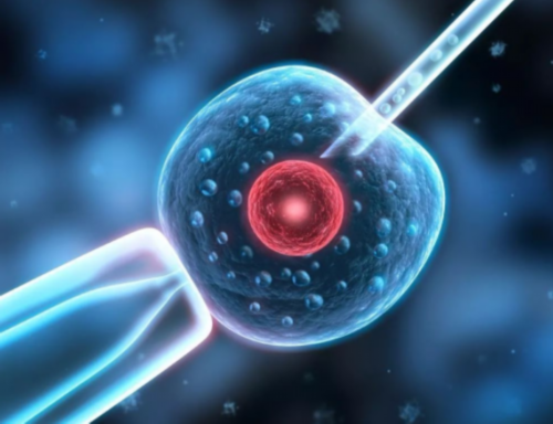 福建供卵代生全包,2026福建省妇幼保健院做供卵三代试管婴儿生男孩多少钱？附