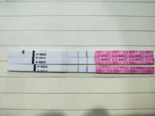 厦门试管婴儿费用揭秘：同性助孕的费用指南