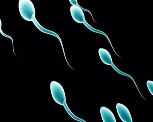 探秘福建试管助孕:第三代试管婴儿技术与性别选择的法律边界