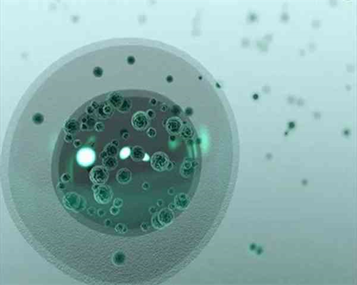 福建供卵医院电话,1影响福建漳州供卵试管成功率因素