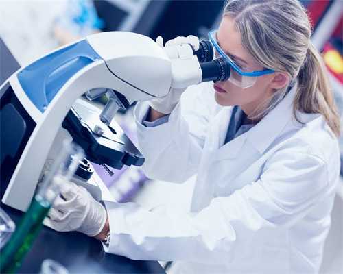 福建借卵生子机构排名与费用解析