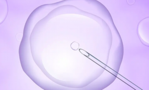 试管婴儿内膜厚度20mm如何处理？探索健康内膜优化方案