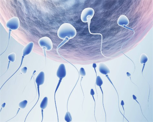 福建试管助孕:精子禁欲时间与试管婴儿费用详解,助您生育无忧