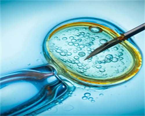 权威试管助孕生男孩费用解析与成功率探讨