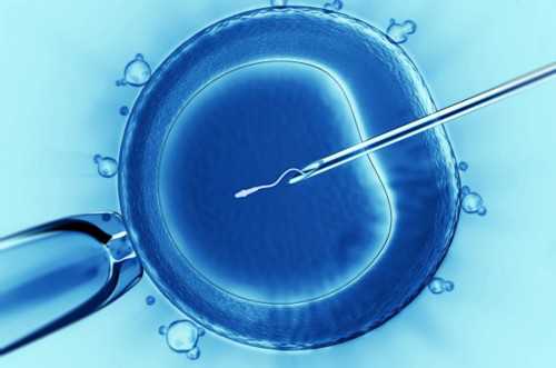 福建试管婴儿医院解析与生育政策前瞻