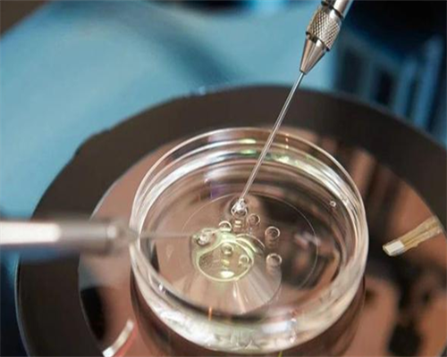 福建助孕优选：机构平台与专家指南