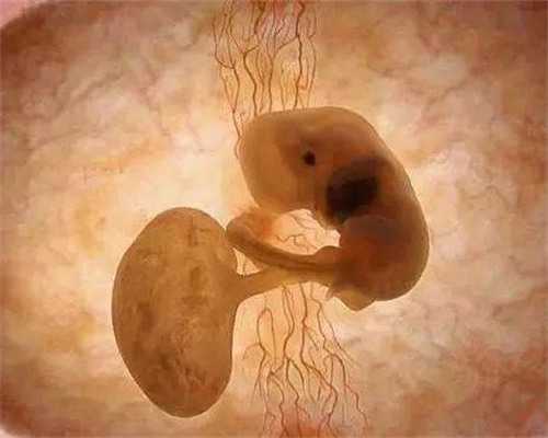 泰国第三代试管婴儿：双胞胎减胎、费用与成功率解析，助您明智选择