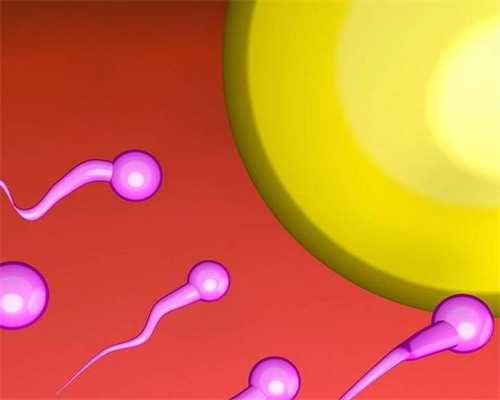 福建地区第三代试管助孕：费用与选择解析