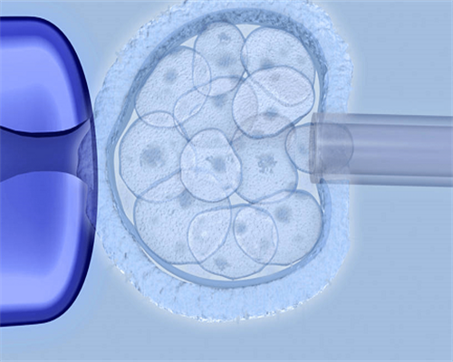 试管捐卵网_试管婴儿泰国,试管禁欲几天取经,试管取精当天遗精了