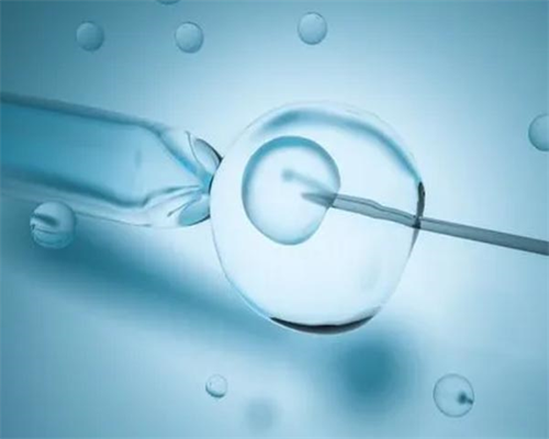 福建求子代孕网|福建试管三代选男女费用一般要花多少钱