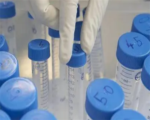 探索福建地区生育支持政策与试管助孕服务