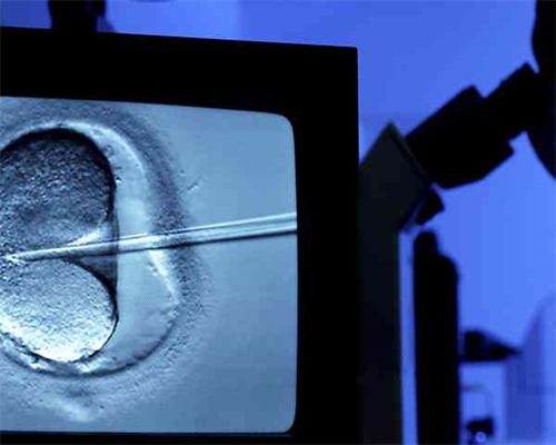 深入解析:福建试管婴儿一代技术详解与辅助生殖全攻略