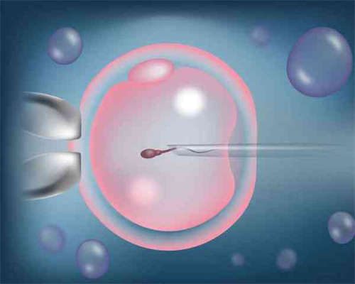 福建生育新政：育儿假与家庭支持解读