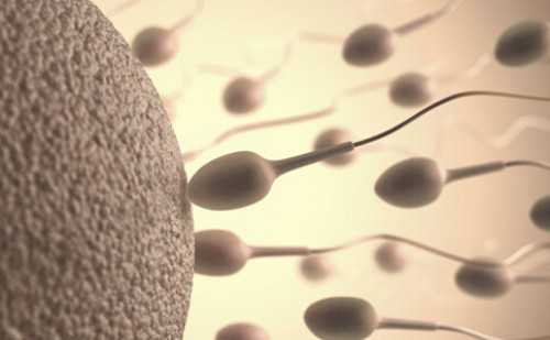 福建代怀价格表,福建龙岩试管婴儿代怀生子医院排名？附试管成功率费用参考