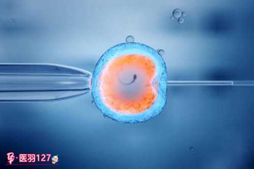 捐卵供卵试管的双胎血值判断与费用