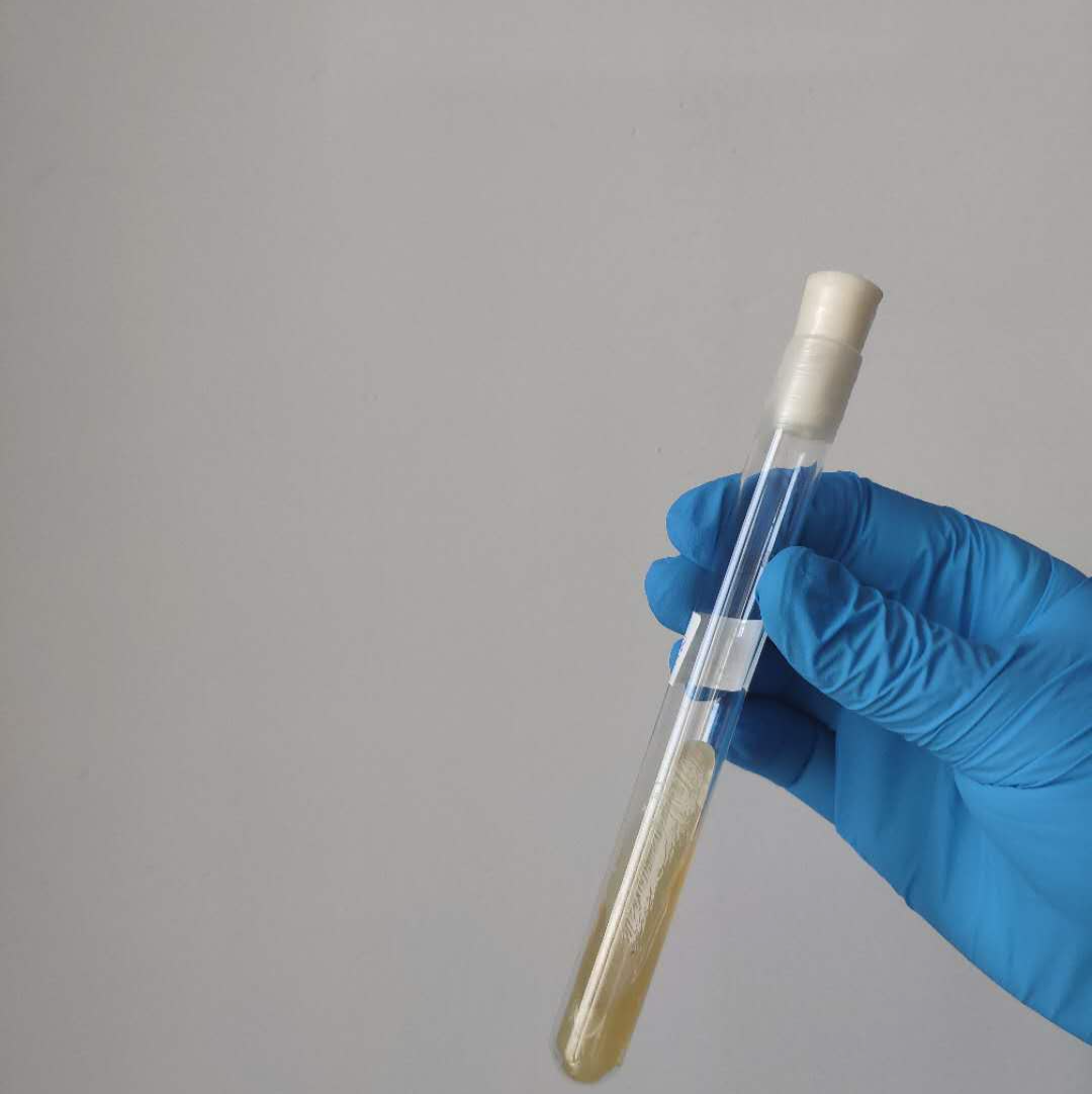 福建公立医院供卵试管要等多久,福建哪里做试管婴儿比较好？福建公立医院试