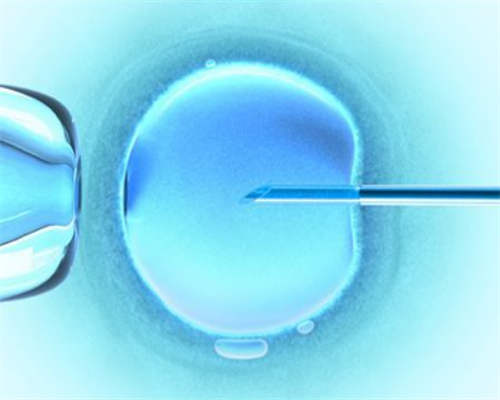 福建试管代孕服务公司|福建省哪个医院做试管婴儿成功率高