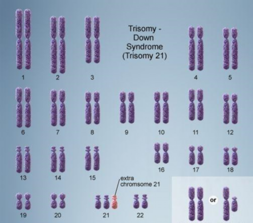福建高成功率试管助孕医院推荐：了解代生价格表与代怀服务