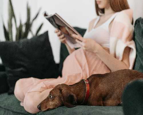 第三代试管婴儿的费用与可行性分析