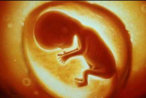 开封代孕是怎么样的_开封哪家医院代孕_二代试管培养的胚胎质量怎么样？等级
